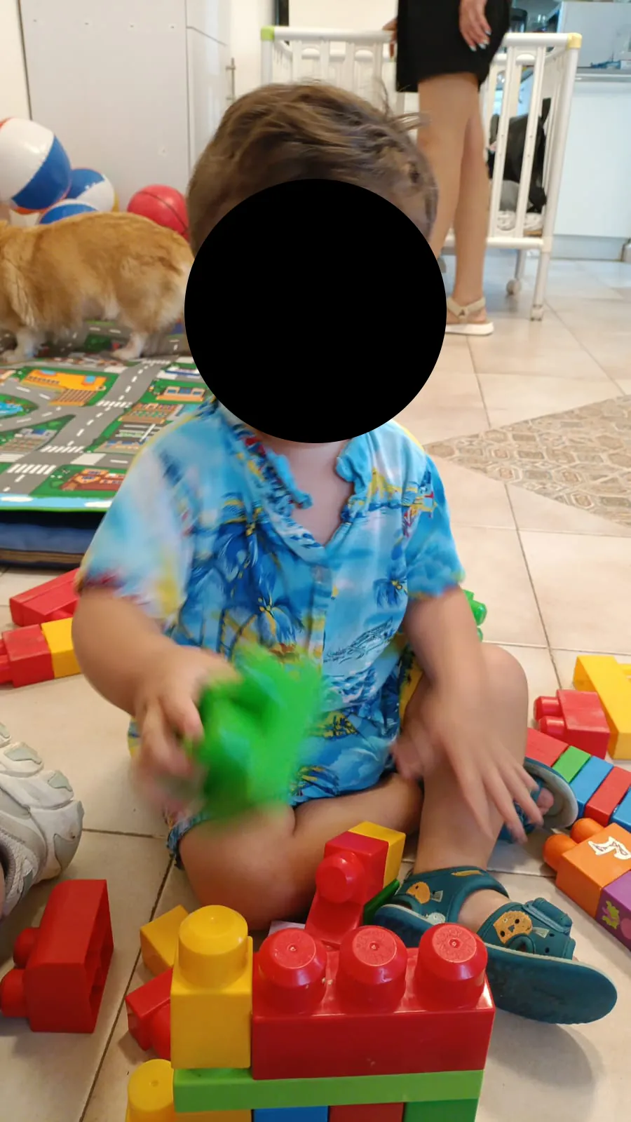 ילד משחק בקוביות בנייה צבעוניות