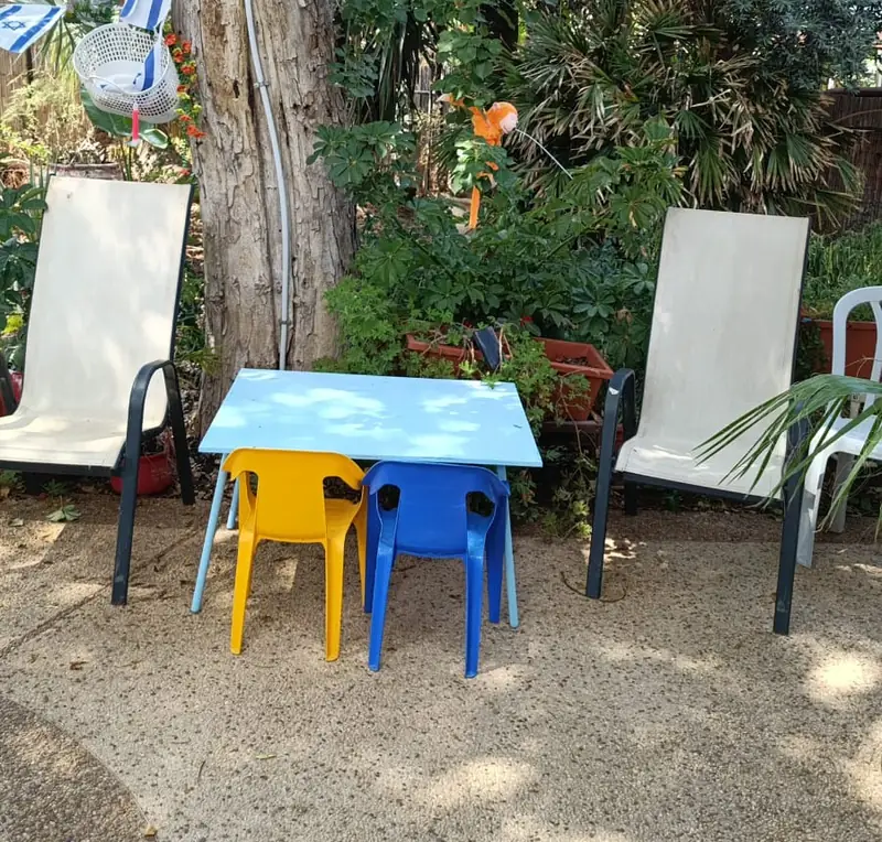 פינת הצמחים והעציצים בחצר